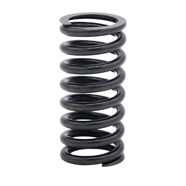 101-1177: SPRING-VALVE
