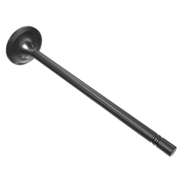 490-7198: Engine Intake Valve