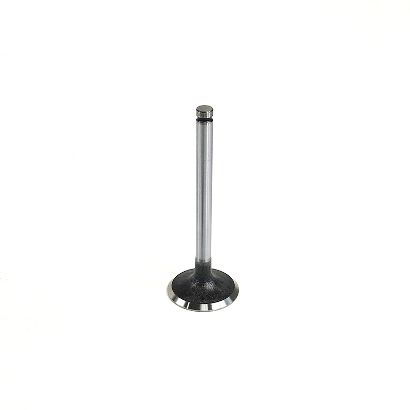 6I-0282: Cylinder Head Inlet Valve