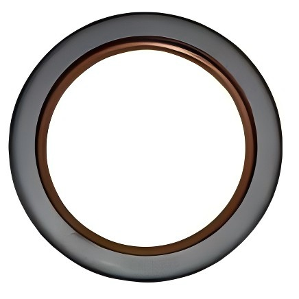 8H-7319: SEAL