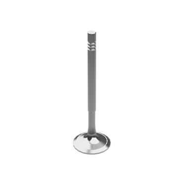 [3365446] 336-5446: Engine Intake Valve