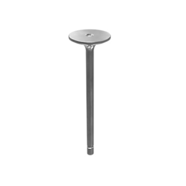 [4901729] 490-1729: 6.1mm Inner Diameter Intake Valve